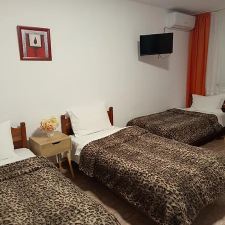 Albatros Guest house 3*