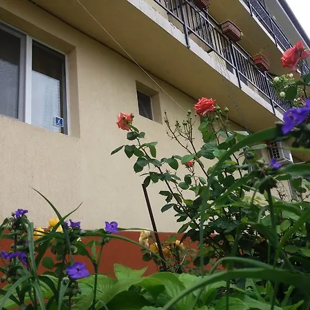 Casa de hóspedes Albatros